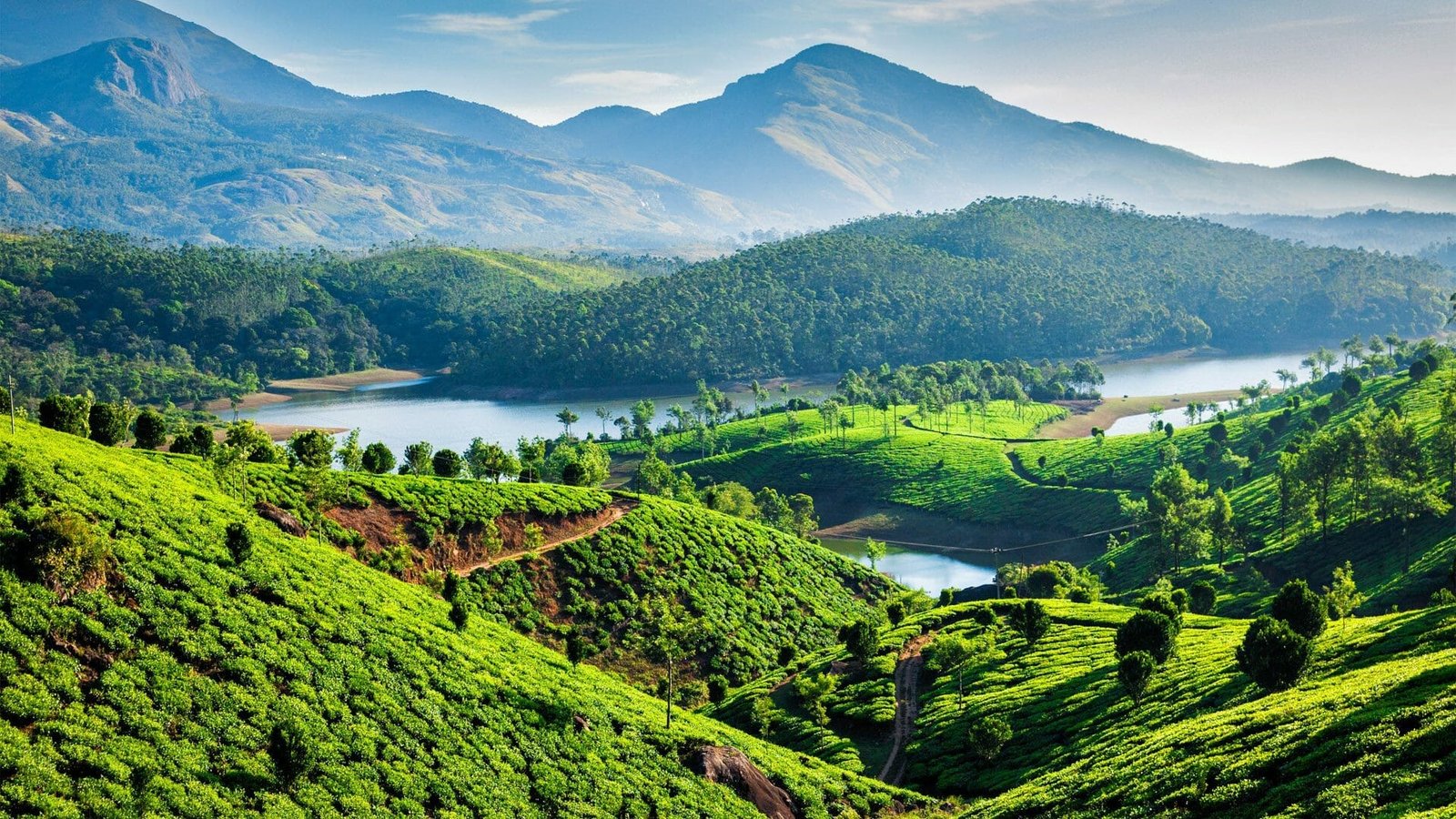 Hills of Southern India Tour